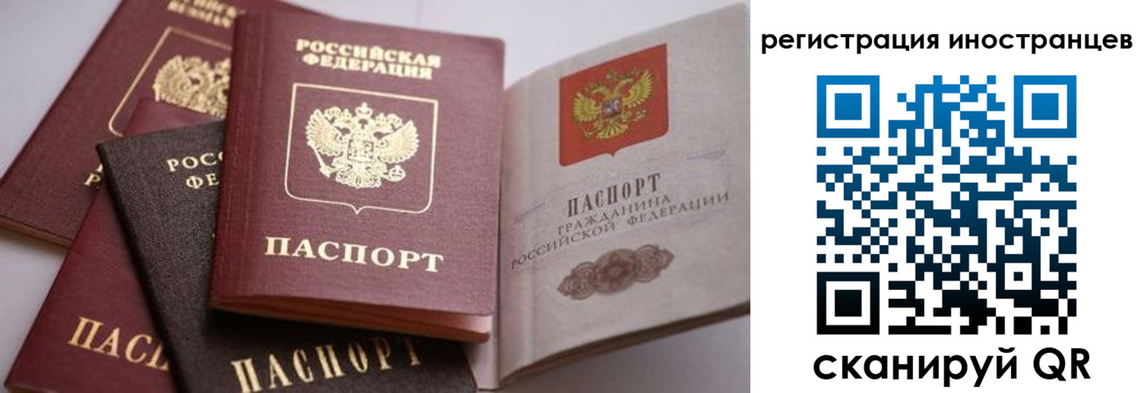 прописка штамп в Алексеевке