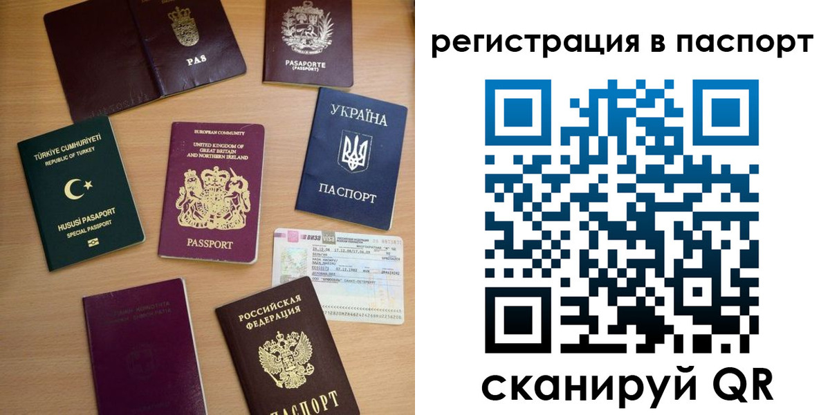 прописка поиск в Алексеевке